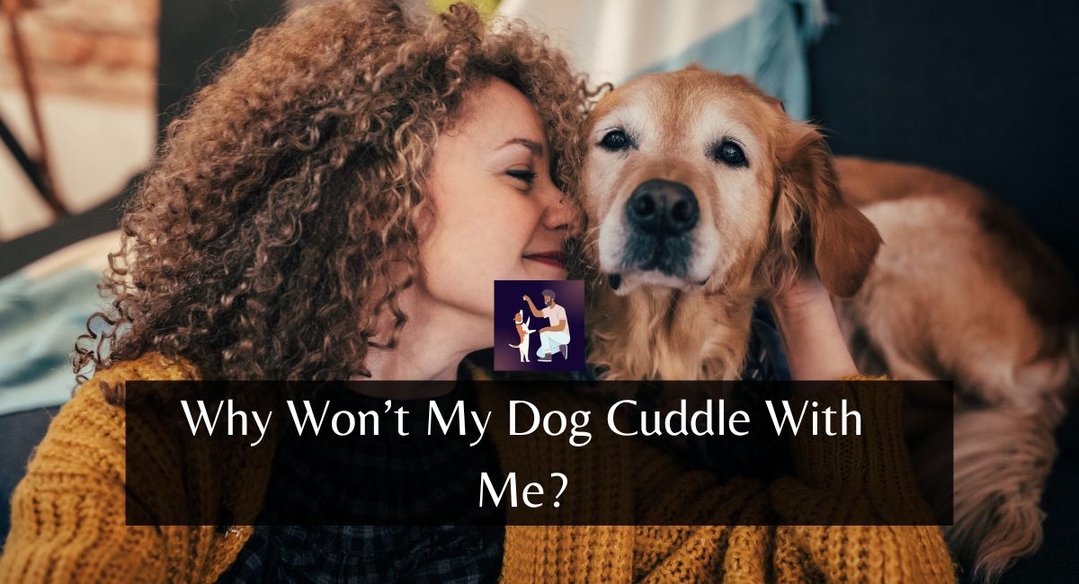 Why Won't My Dog Cuddle With Me?
